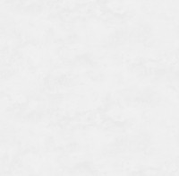 Обои Victoria Stenova 588051 Revolute