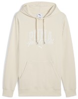 Мужская толстовка Puma Class Hoodie Tr Alpine Snow, s.S фото №1 — интернет-магазин Desire.md