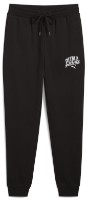 Мужские спортивные штаны Puma Class Sweatpants Tr Cl Puma Black, s.L (68465201) фото №1 — интернет-магазин Desire.md