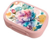 Ланч-бокс для школы Bytplast Phibo 0.9L (55656) фото №1 — интернет-магазин Desire.md