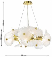 Lustră Cellini Grapedrop CLN1005-D65 imaginea #3 — magazin online Desire.md