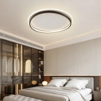 Потолочный светильник Flitz Leuchten Dolt (FL650-C50) фото №2 — интернет-магазин Desire.md