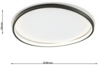 Потолочный светильник Flitz Leuchten Dolt (FL650-C50) фото №3 — интернет-магазин Desire.md