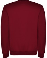 Детская толстовка Roly Clasica 1070 Garnet, 7-8 years фото №2 — интернет-магазин Desire.md