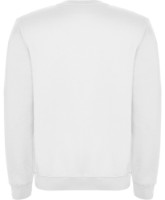 Детская толстовка Roly Clasica 1070 White, 9-10 years фото №2 — интернет-магазин Desire.md