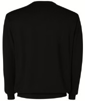 Hanorac pentru bărbați Roly Hilux 8417 Black, s.XXL imaginea #2 — magazin online Desire.md