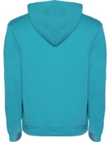Мужская толстовка Roly Urban 1067 Turquoise, s.S фото №2 — интернет-магазин Desire.md