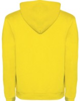 Мужская толстовка Roly Urban 1067 Yellow, s.M фото №2 — интернет-магазин Desire.md