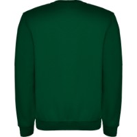 Hanorac pentru bărbați Roly Clasica 1070 Bottle Green, s.L imaginea #2 — magazin online Desire.md