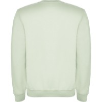 Hanorac pentru bărbați Roly Clasica 1070 Mist Green, s.M imaginea #2 — magazin online Desire.md