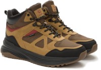 Ботинки мужские Crosby 448094/01-03 Brown, s.42