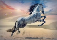 Puzzle Trefl 1000 Majestic Horse (10790)