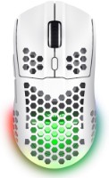 Компьютерная мышь Trust GXT 929W Helox White (25390) фото №1 — интернет-магазин Desire.md