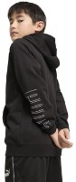 Детская толстовка Puma Sport Full-Zip Hoodie Tr B Puma Black, s.140 фото №4 — интернет-магазин Desire.md