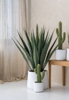 Ghiveci Potterypots Patt XXL White Washed imaginea #3 — magazin online Desire.md