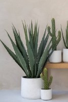 Ghiveci Potterypots Patt XXL White Washed imaginea #2 — magazin online Desire.md