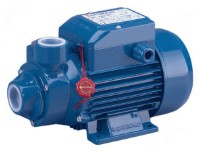 Вихревой насос Pedrollo PKm 60