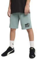 Pantaloni scurți pentru copii Puma Mid90S Long Shorts Tr B Green Moon, s.152 imaginea #3 — magazin online Desire.md