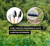 Seră Demetra 8m-3m-2m (1211) imaginea #4 — magazin online Desire.md