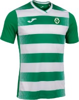 Tricou bărbătesc Joma 102838.452 Green/White, s.M