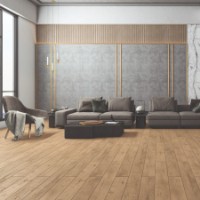 Ламинированная доска Kastamonu Naturel FN009 фото №2 — интернет-магазин Desire.md