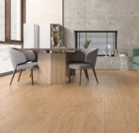 Ламинированная доска Kastamonu Urban FU002 фото №2 — интернет-магазин Desire.md