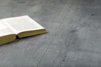 Ламинированная доска Kronopol Paloma D1038 фото №3 — интернет-магазин Desire.md