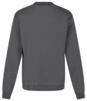 Мужской свитер Safety Jogger Tano Crewneck Grey s.XXL фото №2 — интернет-магазин Desire.md