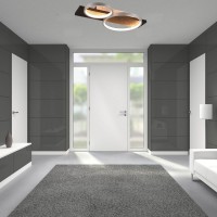 Потолочный светильник Trio Medera (643810287) фото №3 — интернет-магазин Desire.md