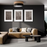 Потолочный светильник Tk-Lighting Nicol 4800 Black/Brown фото №2 — интернет-магазин Desire.md