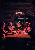 Incalzitor cu infraroșu Enders Marbella 2kW 4925 imaginea #3 — magazin online Desire.md