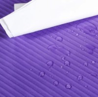 Коврик для йоги 4Play Ever Step 183x61x1.5cm Purple фото №3 — интернет-магазин Desire.md