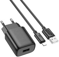 Зарядное устройство Hoco C134A Solid with Lightnign Black фото №1 — интернет-магазин Desire.md