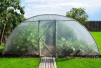 Seră Demetra 18m2 4-4.5-2.5m (33809) imaginea #3 — magazin online Desire.md