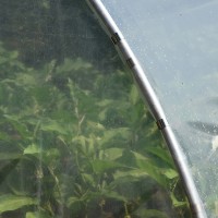 Seră Demetra 18m2 4-4.5-2.5m (33809) imaginea #5 — magazin online Desire.md