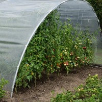 Seră Demetra 27m2 6-4.5-2.5m (33810) imaginea #6 — magazin online Desire.md