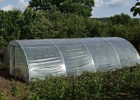 Seră Demetra 36m2 8-4.5-2.5m (33811) imaginea #4 — magazin online Desire.md