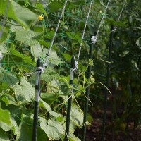 Seră Demetra 36m2 8-4.5-2.5m (33811) imaginea #9 — magazin online Desire.md