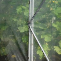 Seră Demetra 45m2 10-4.5-2.5m (33812) imaginea #4 — magazin online Desire.md