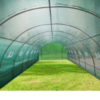 Seră Micul Fermier GF-2405-S001-G01 imaginea #3 — magazin online Desire.md