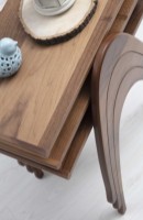 Măsuţă cafea Dizayno Home TB-Semer Nest (082944) imaginea #3 — magazin online Desire.md