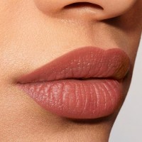 Ruj de buze Estee Lauder Pure Color Explicit Slick Shine Lipstick 101 imaginea #3 — magazin online Desire.md