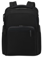 Rucsac pentru oraș Samsonite Evosight (153522/1041) imaginea #1 — magazin online Desire.md