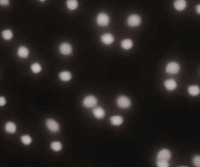 Ночной светильник Emos DCPC03 фото №4 — интернет-магазин Desire.md