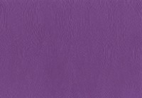 Tapete Novamur Vive La France 4221-30 