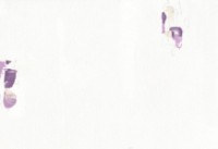 Tapete Novamur Vive La France 4239-10