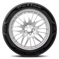 Шина Petlas ProGreen PT525 195/55 R15 85H фото №3 — интернет-магазин Desire.md