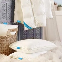 Подушка Othello Cloudia 50x70+2.5cm (54948) фото №2 — интернет-магазин Desire.md