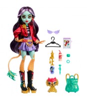 Păpușa Mattel Monster High Jinafire Long (HYV58) imaginea #3 — magazin online Desire.md