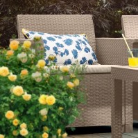 Set mobila de grădină Keter Elodie 2 Set Cappuccino/Oat (246157) imaginea #4 — magazin online Desire.md